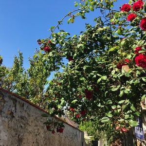 Meet your Posher, Corinn